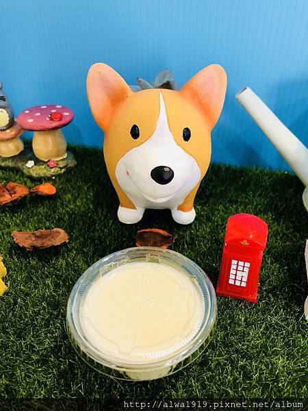 IMG_2194.JPG IMG_2194.JPG