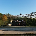 IMG_6004.JPG