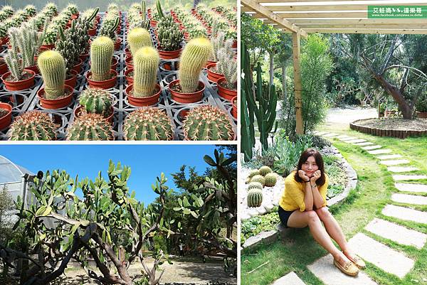 【新竹免费景点】福祥仙人掌与多肉植物园，城市小绿洲，IG网美的打卡热点.jpg
