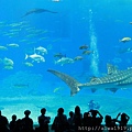 IMG_3117.JPG