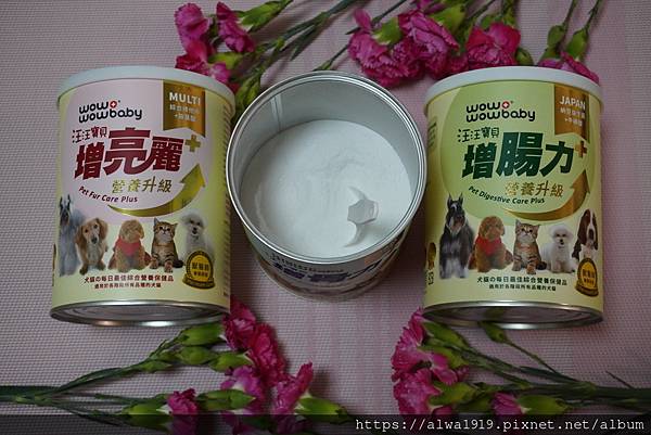 狗狗營養品推薦_汪汪寶⾙-09.JPG