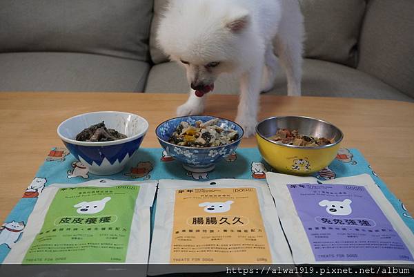 【白博美奧迪開箱】年年寵物鮮食、全齡犬適用、科學機能鮮食、寵