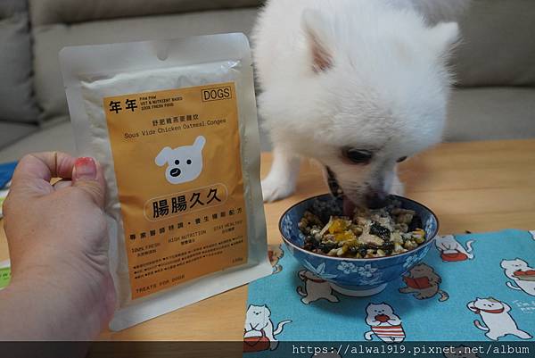 【白博美奧迪開箱】年年寵物鮮食、全齡犬適用、科學機能鮮食、寵