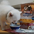 DSC08308.JPG