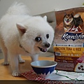 DSC08304.JPG