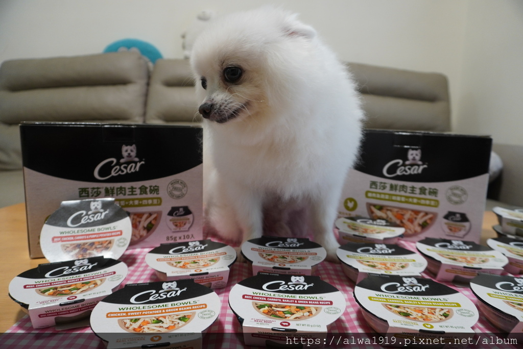 【高級狗濕糧推薦】Cesar®西莎®鮮肉主食碗。狗狗濕糧。成
