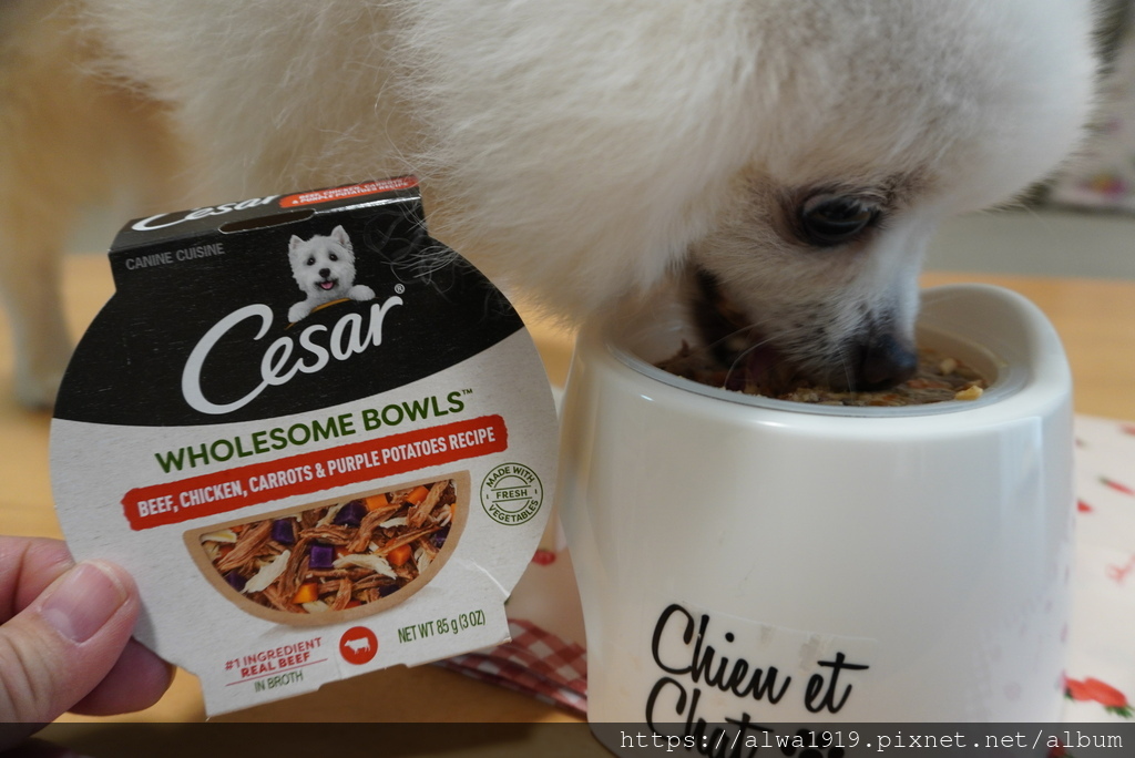 【高級狗濕糧推薦】Cesar®西莎®鮮肉主食碗。狗狗濕糧。成