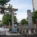DSC07440.JPG
