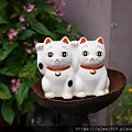 DSC07460.JPG