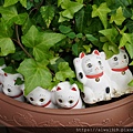 DSC07487.JPG