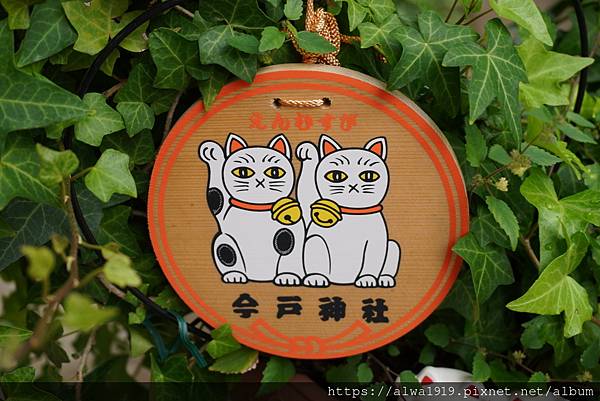 【东京旅游！浅草景点】今户神社：招财猫恋爱神社！可爱御守御神
