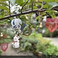 IMG_7557.jpg