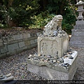 DSC07959.JPG