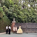 IMG_8362.jpg