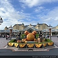 IMG_8398.jpg