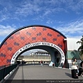 IMG_8418.jpg