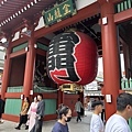 IMG_7742.jpg