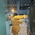 IMG_3553.jpg