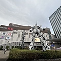 IMG_7872.jpg
