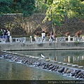 DSC06068.JPG