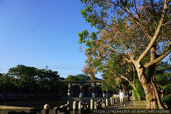 【新竹关西免费景点】牛栏河亲水公园，在一片风光明媚里享受片刻