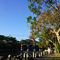 DSC06084.JPG