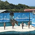 IMG_3629.jpg