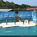 IMG_3633.jpg