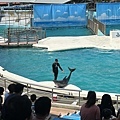 IMG_3664.jpg