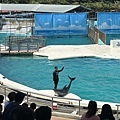 IMG_3665.jpg