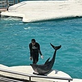 IMG_3663.jpg