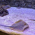 IMG_3734.jpg