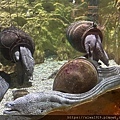 IMG_3741.jpg