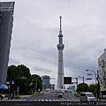 DSC07518.JPG
