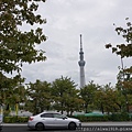 DSC07509.JPG