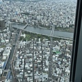 IMG_7358.jpg