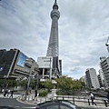 IMG_7531.jpg