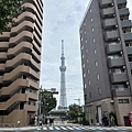 IMG_7546.jpg