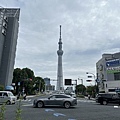 IMG_7548.jpg