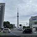 IMG_7549.jpg