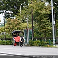 DSC07431.JPG