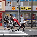DSC07528.JPG