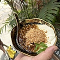 IMG_3529.jpg