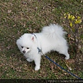 DSC00564.JPG