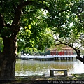 DSC00924.JPG