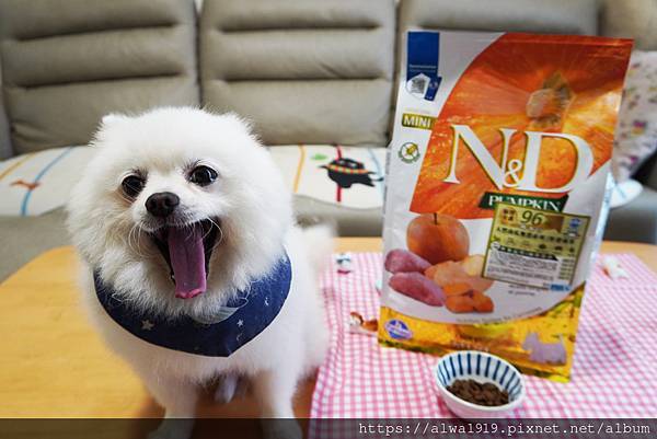 【法米納Farmina開箱】義大利天然南瓜無穀犬糧開箱｜白博