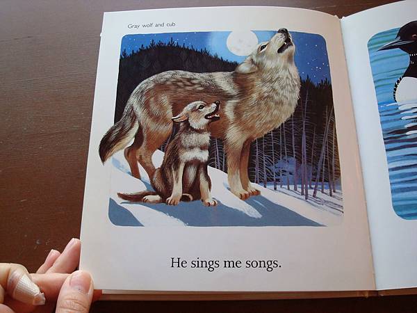 DSC09132.JPG DSC09132.JPG