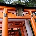 DSC00242.JPG