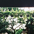 F1000008.JPG