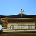 DSC00166.JPG